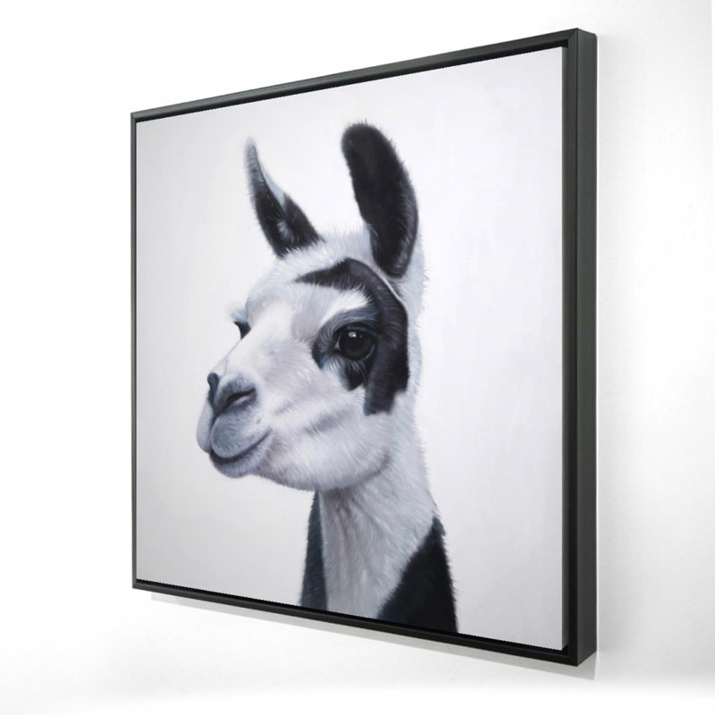 " Black & White Lama "