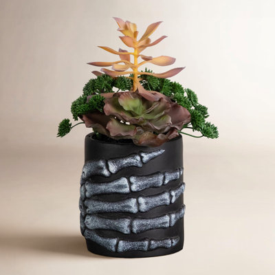 9in. Artificial Halloween Succulent Garden in Skeleton Hand Planter