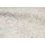 Wool Oriental Area Rug in Beige