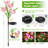 Low Voltage Solar Powered Integrated LED Pathway Light Pack