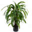 Artificial Foliage Plant in Pot Liner-124076062