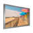 Silver Single Picture Framed