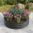 2PCS Round Raised Garedn Bed-1494814035