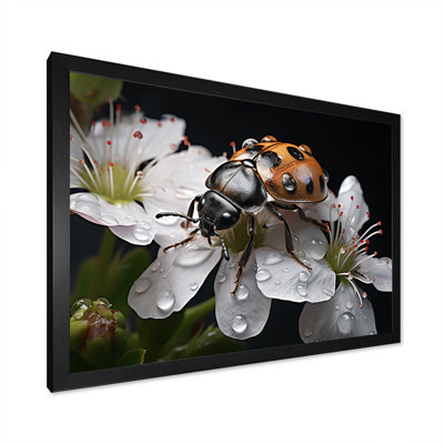 Nature c - Mystérieuse coccinelle en fleurs - imprimé