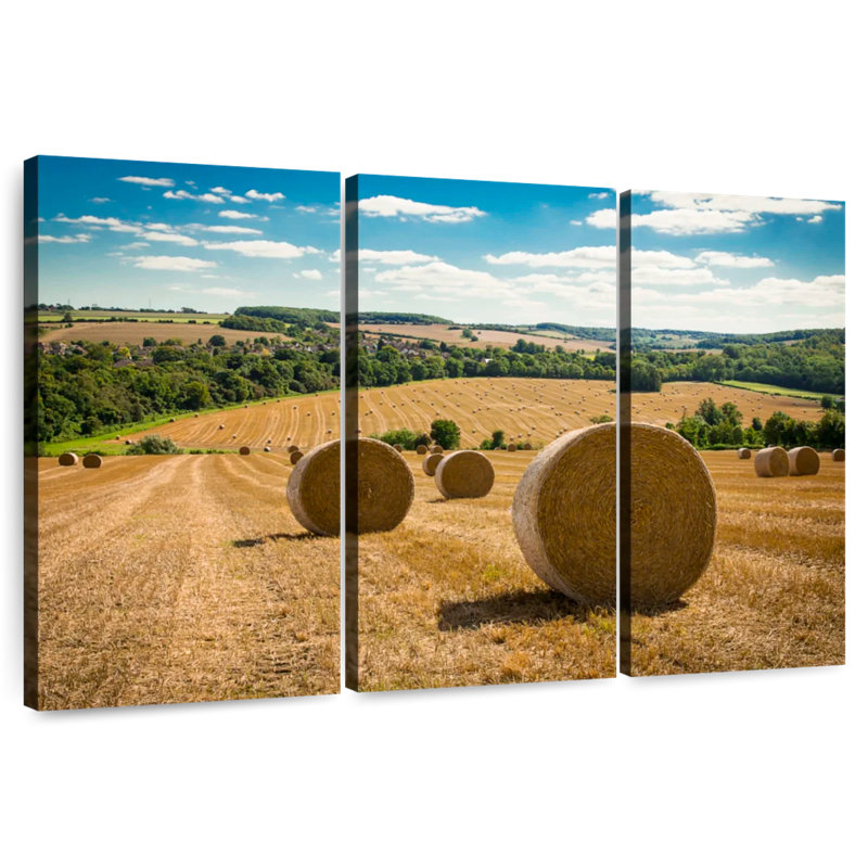 Balles de foin Alvord Kent Field, H 36 po x l 57 po