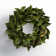 Magnolia Leaf Wreath