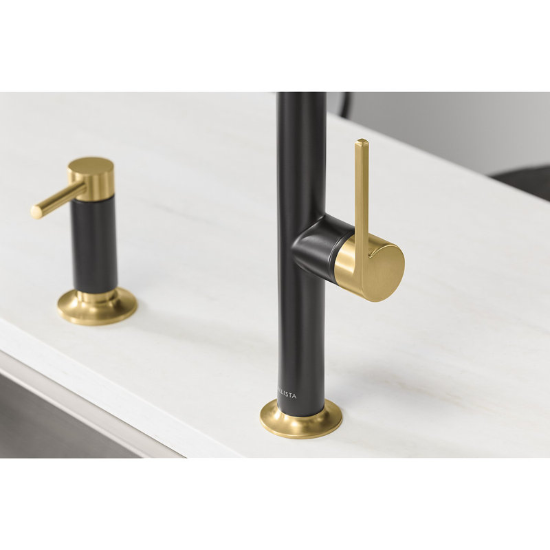 Juxtapose™ Semi-Pro Faucet, Matte Black/Gold