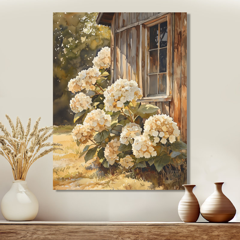 Hydrangeas In The Chicken Coop - Hydrangea Print On Metal, 32" H x 24" W