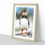 Lone Atlantic Puffin - Framed Print-56852829-56852831