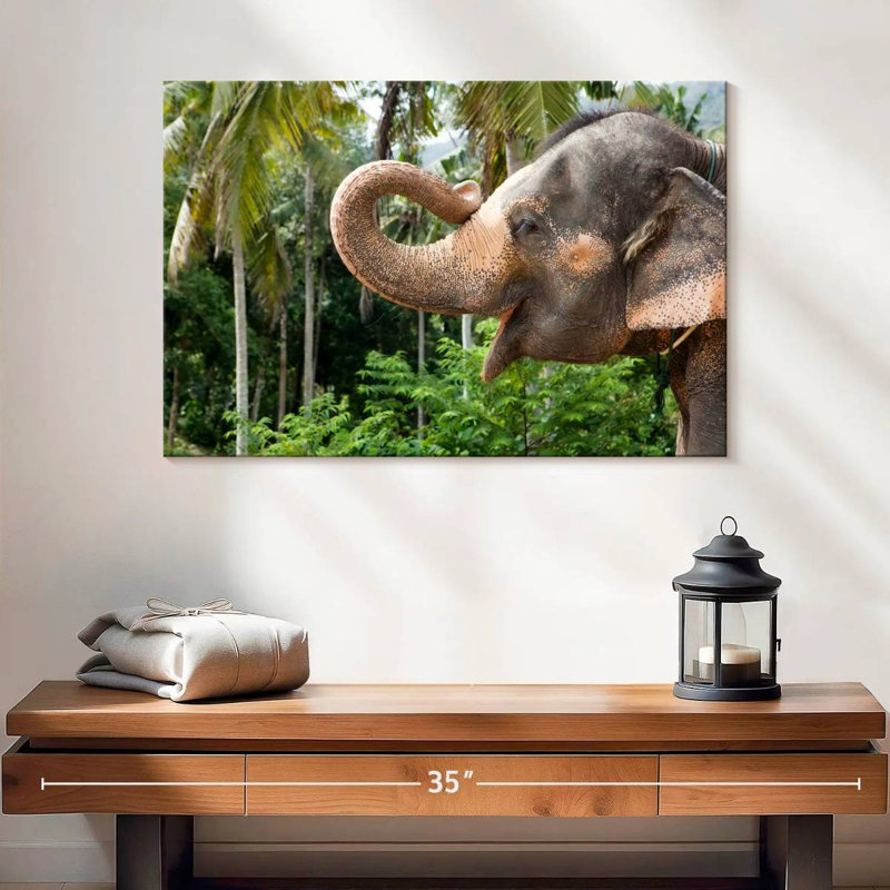 Brampt Smiling Asian Elephant, 16" H x 24" W
