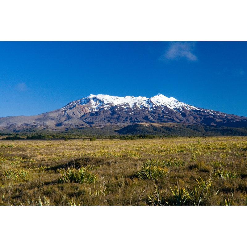New Zealand by Matejay - Wrapped Canvas Print, 61cm H x 91cm W x 3.8cm D
