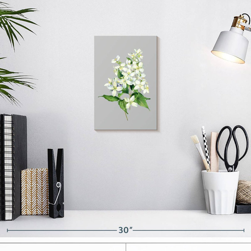 Fleurs de jasmin Harnek, H 12 po x l 8 po