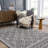Janyssa Geometric Outdoor Gray Area Rug-169967577