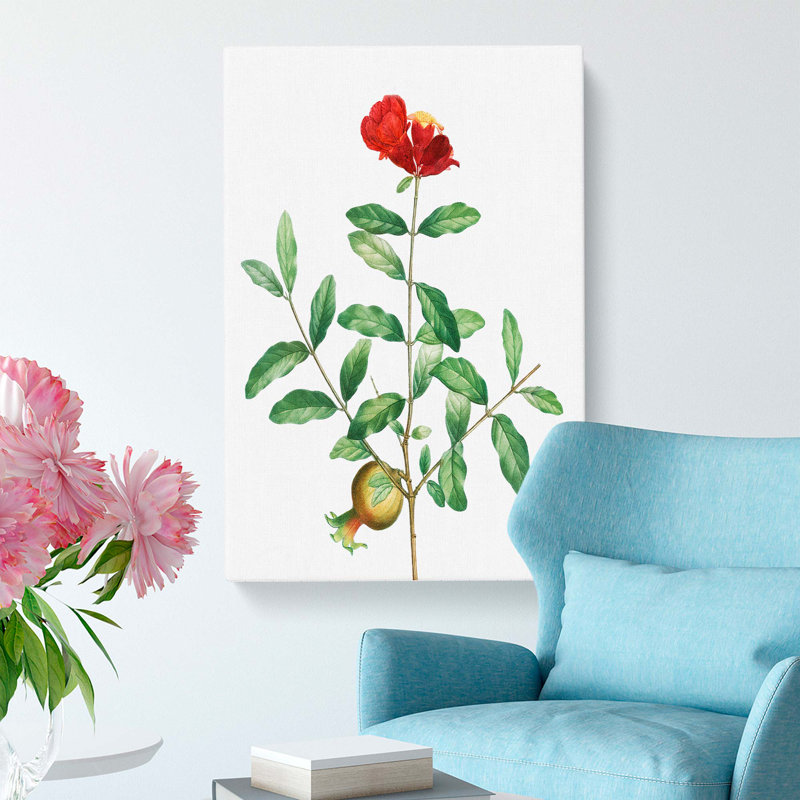 Pomegranate Tree Branch by Pierre-Joseph Redoute - Wrapped Canvas Print, 50cm H x 35cm W x 3cm D