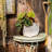 Pot Planter