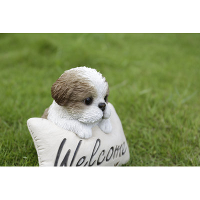 Shih Tzu avec statue de bienvenue