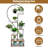 Multi-tiered Indoor Plant Stand