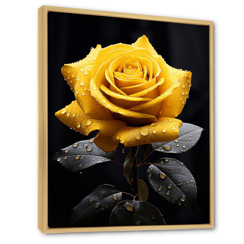 Danail Yellow Black Rose Elegance III On Canvas Print, 32" H x 24" W x 1" D, Maple Floater Framed