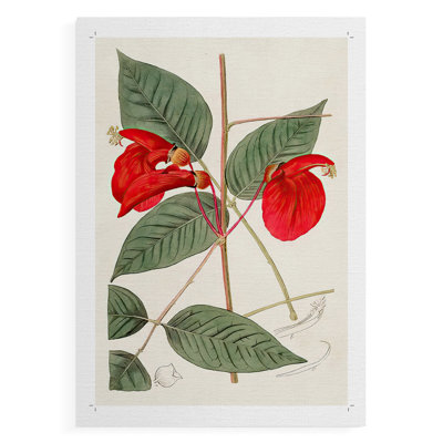 FloraOf TheTropics II - Impression sur toile seulement - non encadrée