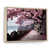 Maple Floater Framed