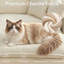 Canapé rembourré en chenille de 52 po-1525567562-1525567557