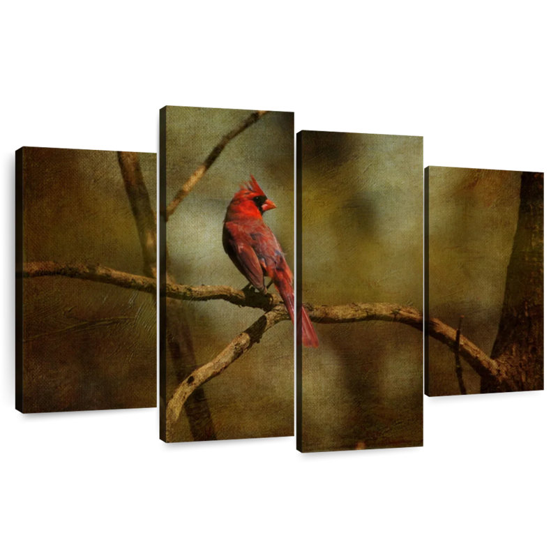 Cardinal sur une branche, H 32 po x l 52 po