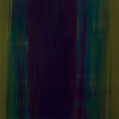Amazilia Velvets Fabric