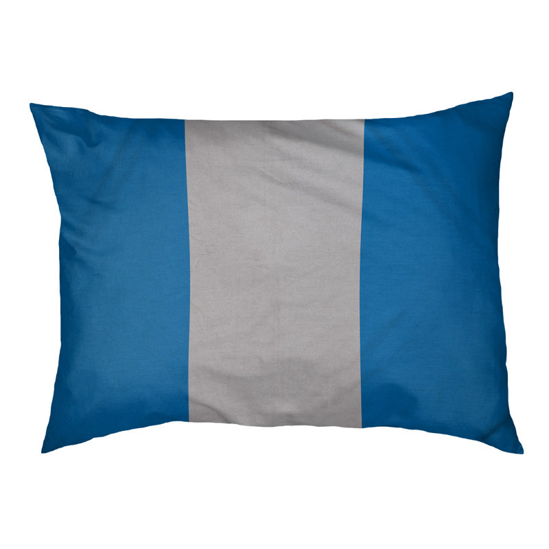 Coussin d'intérieur New York, Grand (l 40 po x P 30 po x H 14 po), Bleu / argenté / bleu