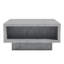 Caomhan Pedestal Coffee Table with Storage-1286931138