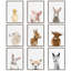 Aurelia Animals-898782695