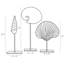 3 Piece Shell Sculpture Set