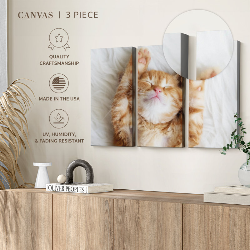 " Sleepy Kitty " 3 - Pieces, 42" H x 65" W