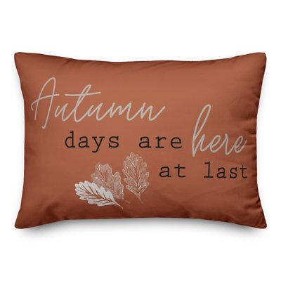 Housse de coussin rectangulaire et insert