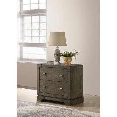 Gaetanina 2-drawer Nightstand by Lark Manor