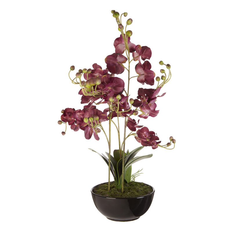 85cm Flowering Plant in Ceramic Pot