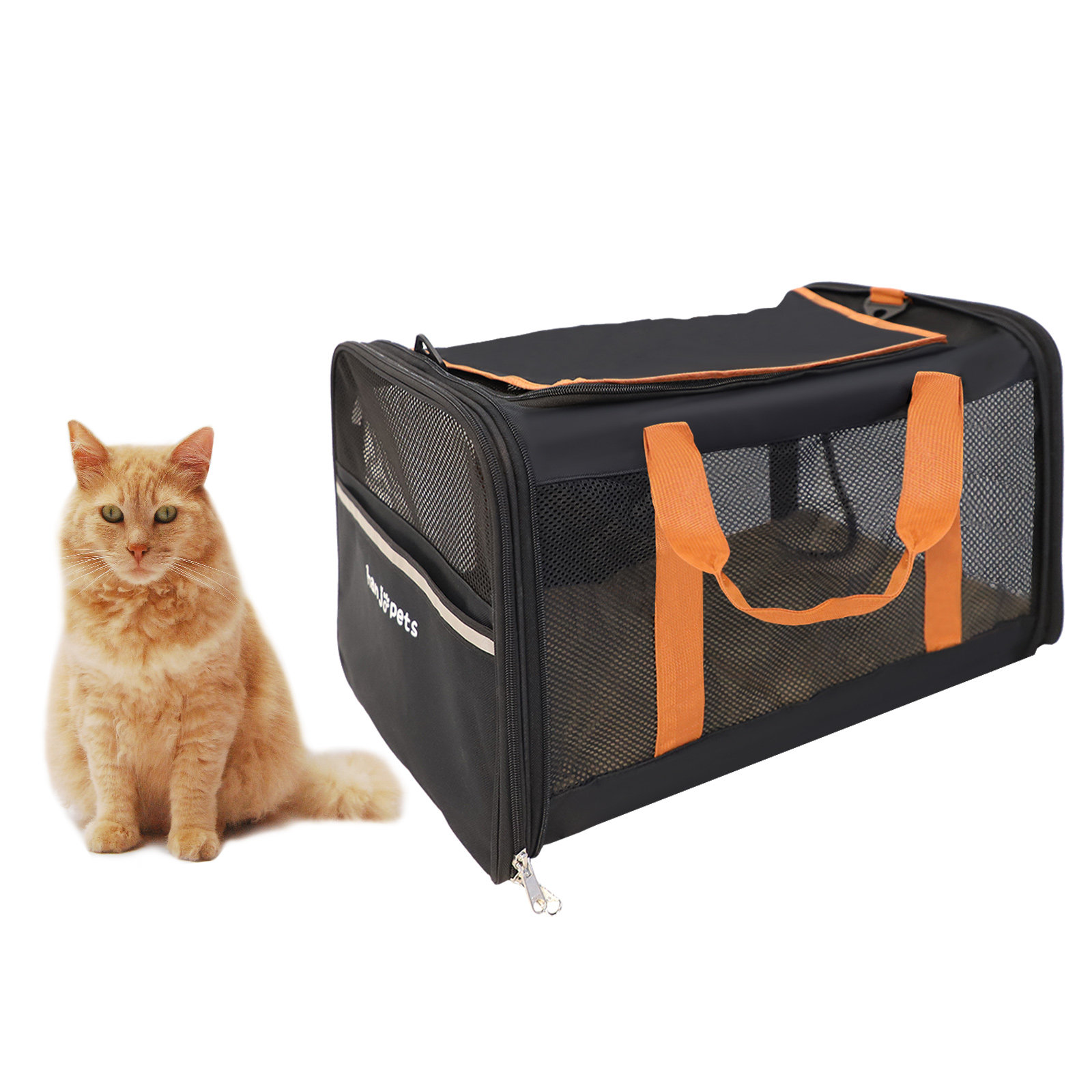 MidWest Homes for Pets Spree Travel Pet Carrier, Dog Carrier