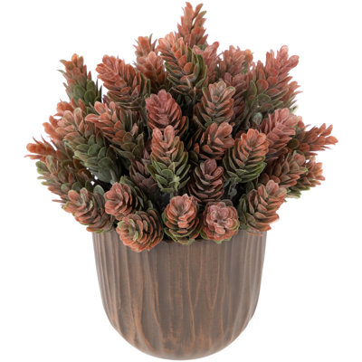 8 plantes