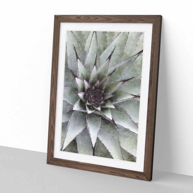 The Succulent Plant - Picture Frame Painting, 65cm H x 48cm W x 2cm D, Walnut Framed
