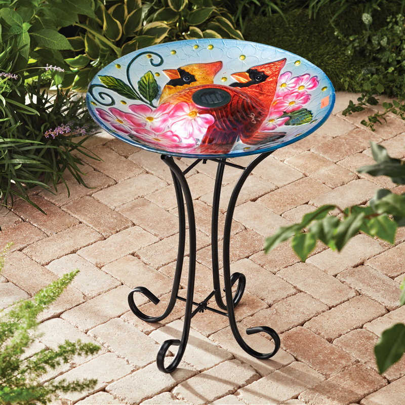 Solar Cardinal Bird Bath