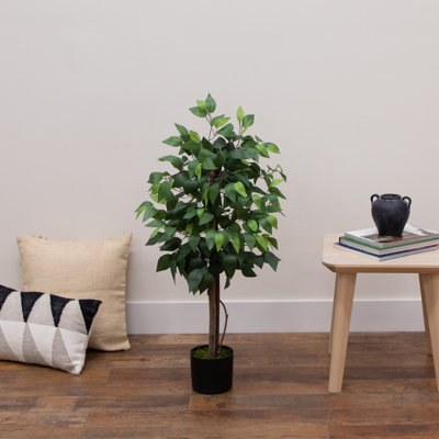 Artificial Double Trunk Ficus Tree