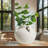 Soma 6" Matte White Ceramic Vase With Handles-40972987-40972985