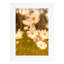 Cadre photo Kempson-378226567-378226566