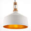 Rickey 1 - Light Dome Pendant-15856845