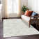 Malek Abstract Indoor / Outdoor Rug