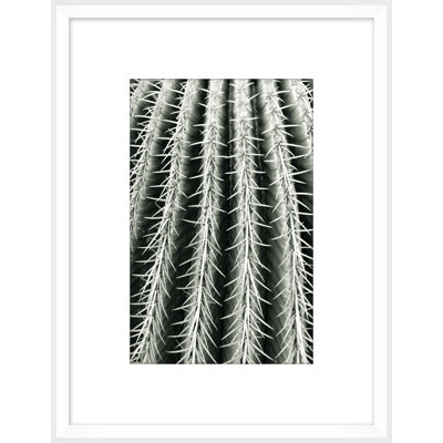 Silver Spike Small 6 Framed Photographic Print