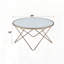 Table basse avec plateau en verre givré pour des styles d'intérieur polyvalents