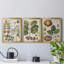 Exotic Botanique I - Ensemble de 3 reproductions d'art sur toile-1322419324