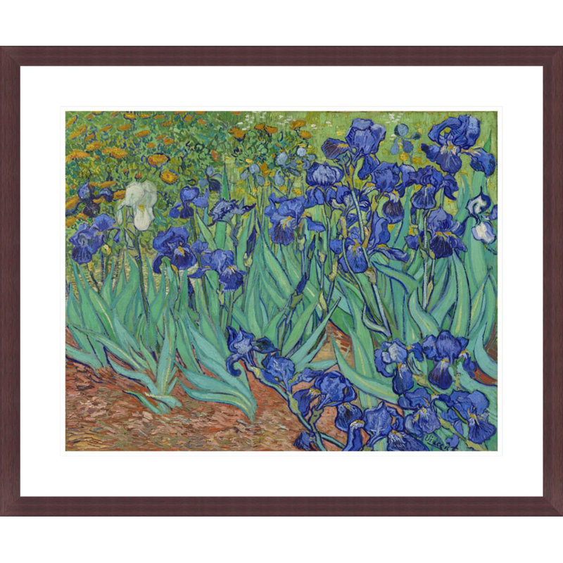 Irises by Vincent van Gogh -Framed Giclee Print, 23.5" H x 28.12" W