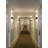 Acuo Solid Wood Flush Mounted Sconce-329788750