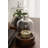 Claussen Two-Piece Glass Cloche Decor Set